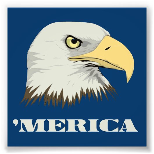 Amerikaanse adelaar voor Merica Foto Afdruk (Voorkant)