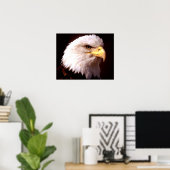 Amerikaanse Adelaar Witkopzeearend Posterprint Poster (Thuiskantoor)