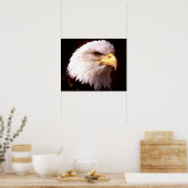 Amerikaanse Adelaar Witkopzeearend Posterprint Poster (Keuken)