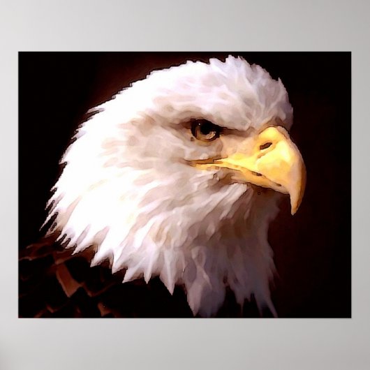 Amerikaanse Adelaar Witkopzeearend Posterprint Poster (Voorkant)
