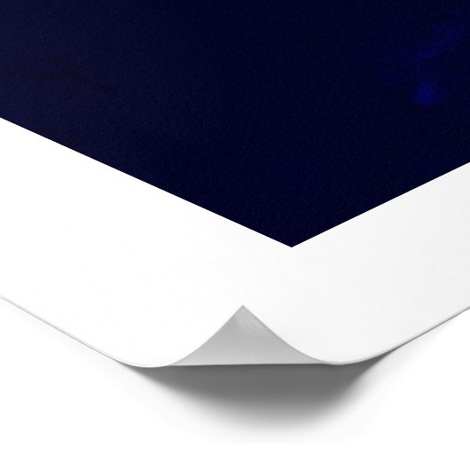 Amerikaanse adelaars - Bald Eagle Posters Prints (Hoek)