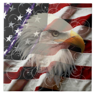 Amerikaanse adelvlieger tegeltje