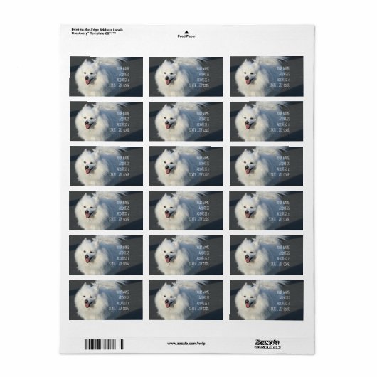 Amerikaanse adresetiketten etiket