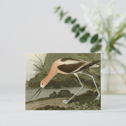 Amerikaanse advocaat briefkaart (Staand voorkant)