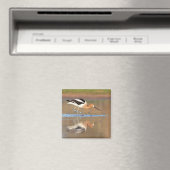 Amerikaanse advocaat in vijvers magneet (Insitu (Vaatwasser))