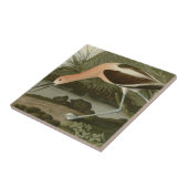 Amerikaanse advocaat tegeltje (Zijkant)