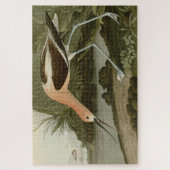 Amerikaanse advocaat uit de Amerikaanse vogelstand Legpuzzel (Verticaal)