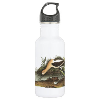 Amerikaanse advocaat van Audubon Waterfles