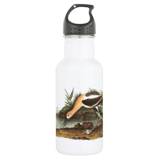 Amerikaanse advocaat van Audubon Waterfles (Voorkant)