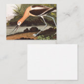Amerikaanse advocaat van John James Audubon Notitiekaartje (Voorkant / Achterkant)