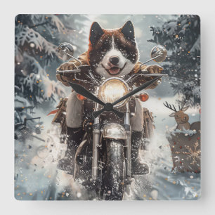 Amerikaanse Akita-hond rijdt op motorfiets met Ker Vierkante Klok