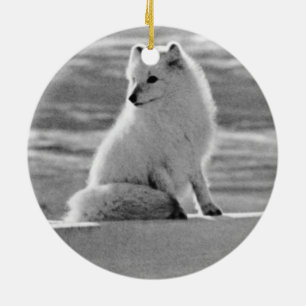 Amerikaanse Alaska Arctic fox 1970 Keramisch Ornament