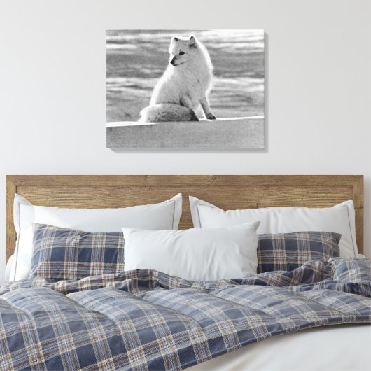  Amerikaanse Alaska Arctic fox Canvas Afdruk (Insitu (Slaapkamer))
