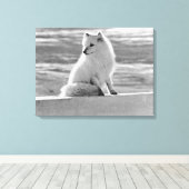  Amerikaanse Alaska Arctic fox Canvas Afdruk (Insitu (Houten vloer))