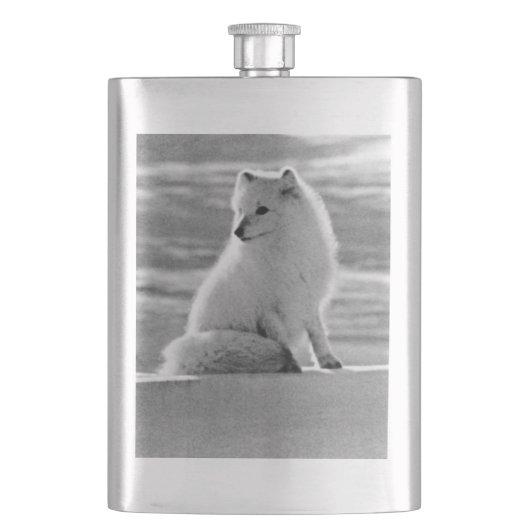 Amerikaanse Alaska Arctic fox Flacon (Voorkant)