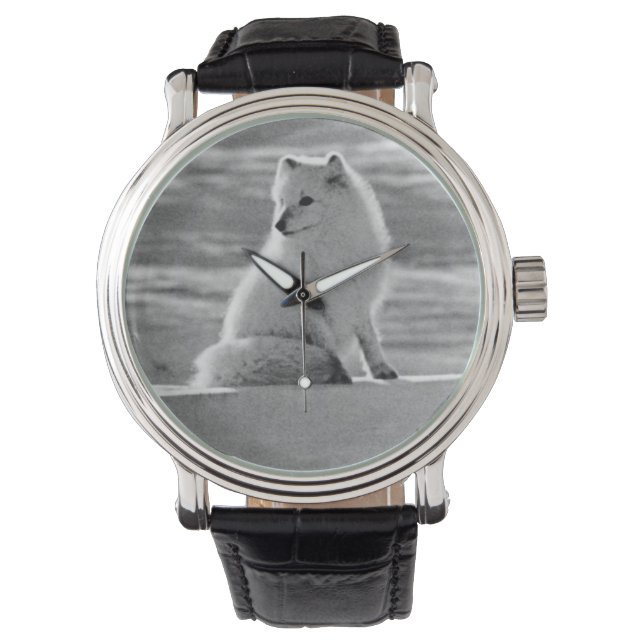  Amerikaanse Alaska Arctic fox Horloge (Voorkant)