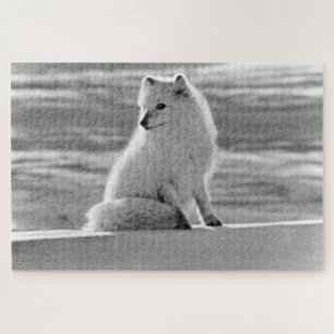 Amerikaanse Alaska Arctic fox Legpuzzel