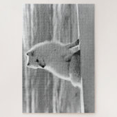  Amerikaanse Alaska Arctic fox Legpuzzel (Verticaal)