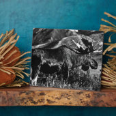 Amerikaanse Alaska bull mose 1970 Fotoplaat (Zijkant)