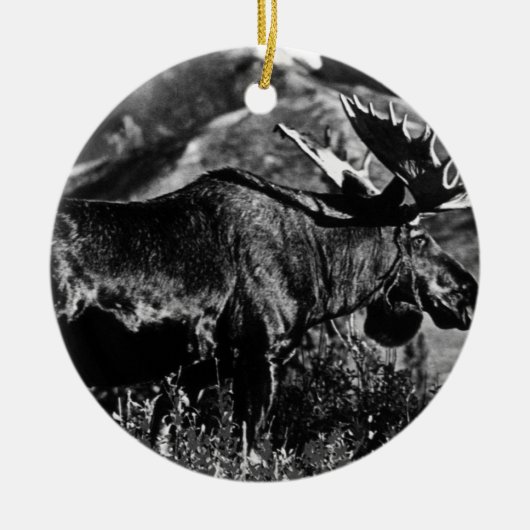  Amerikaanse Alaska bull mose 1970 Keramisch Ornament (Voorkant)