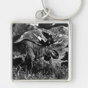 Amerikaanse Alaska bull mose 1970 Sleutelhanger