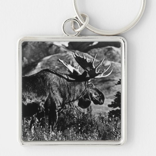  Amerikaanse Alaska bull mose 1970 Sleutelhanger (Voorkant)