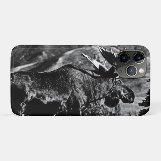 Amerikaanse Alaska-kogels Case-Mate iPhone Case (Achterkant (horizontaal))