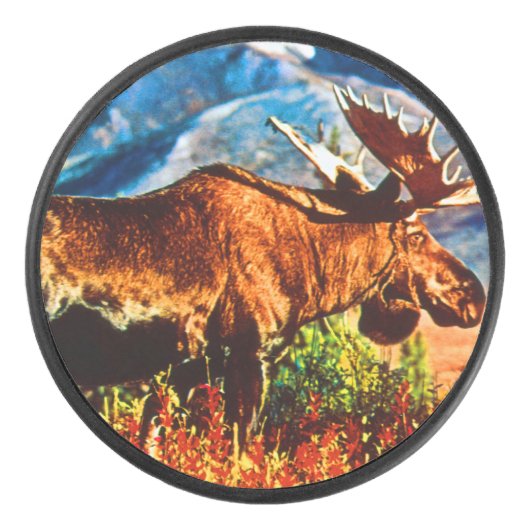  Amerikaanse Alaska-kogels Hockey Puck (Voorkant)