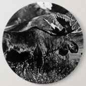 Amerikaanse Alaska-kogels Ronde Button 6,0 Cm (Voorkant)