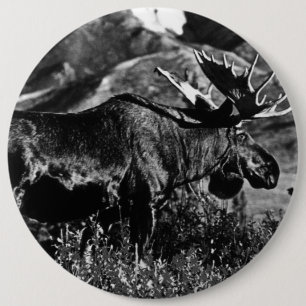  Amerikaanse Alaska-kogels Ronde Button 6,0 Cm