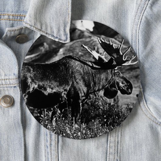  Amerikaanse Alaska-kogels Ronde Button 6,0 Cm (In situ)