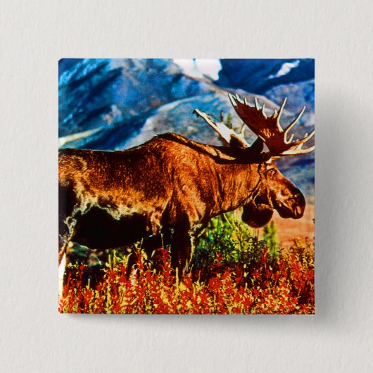 Amerikaanse Alaska-kogels Vierkante Button 5,1 Cm (Voorkant)