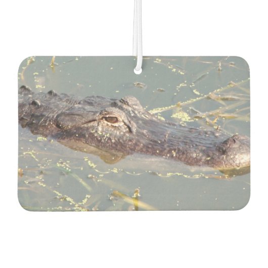 Amerikaanse Alligator Air Freshner Luchtverfrisser (Voorkant)