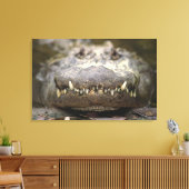 Amerikaanse alligator canvas afdruk (Insitu (Woonkamer))