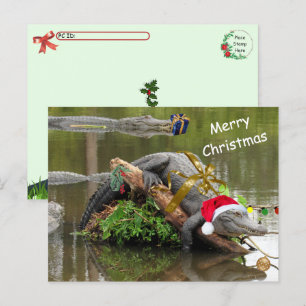 Amerikaanse Alligator Christmas Briefkaart