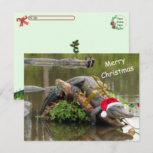 Amerikaanse Alligator Christmas Briefkaart (Voorkant / Achterkant)