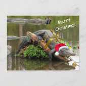 Amerikaanse Alligator Christmas Briefkaart (Voorkant)