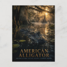 Amerikaanse Alligator Cypress Moeras DIEREN