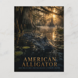 Amerikaanse Alligator Cypress Moeras DIEREN Briefkaart