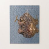 Amerikaanse Alligator en Dragonfly - Wildlife Foto Legpuzzel (Verticaal)