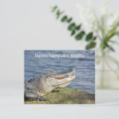 Amerikaanse Alligator Florida Everglades Wildlife Briefkaart (Staand voorkant)