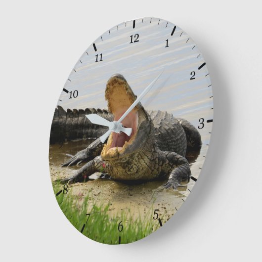 Amerikaanse alligator grote klok