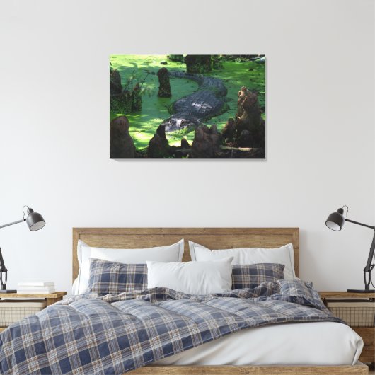 Amerikaanse alligator in de moerassen Fine Art Fot Canvas Afdruk (Insitu (Slaapkamer))