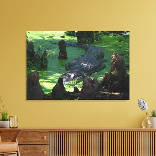 Amerikaanse alligator in de moerassen Fine Art Fot Canvas Afdruk (Insitu (Woonkamer))
