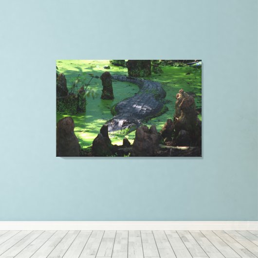 Amerikaanse alligator in de moerassen Fine Art Fot Canvas Afdruk (Insitu (Houten vloer))