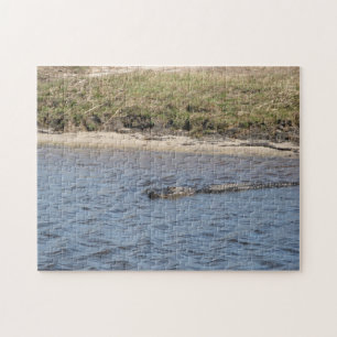 Amerikaanse alligator in moeraswater in Florida Legpuzzel