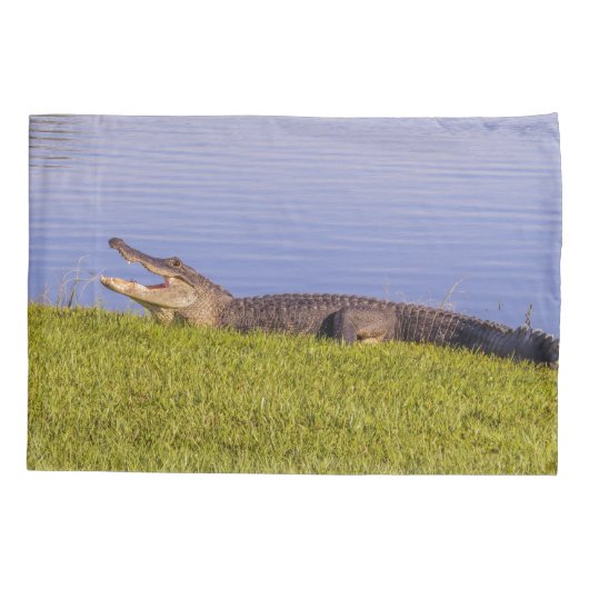 Amerikaanse alligator kussensloop (Achterkant-Links)