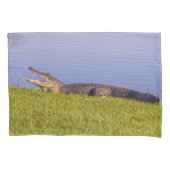 Amerikaanse alligator kussensloop (Voorkant-Links)