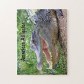 Amerikaanse Alligator Legpuzzel (Verticaal)