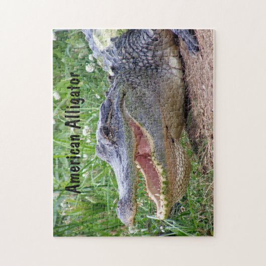 Amerikaanse Alligator Legpuzzel (Verticaal)